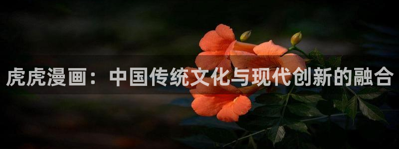 免费黄色51漫画网站