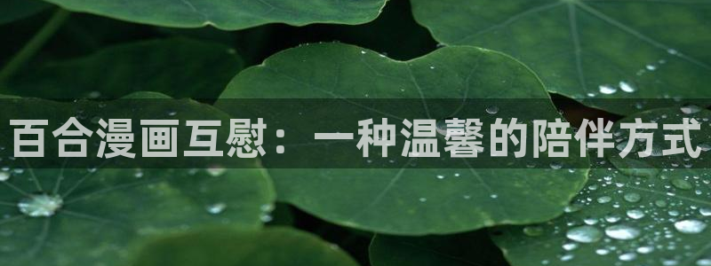 香蕉漫画51漫画网站：百合漫画互慰：一种温馨的陪伴方式