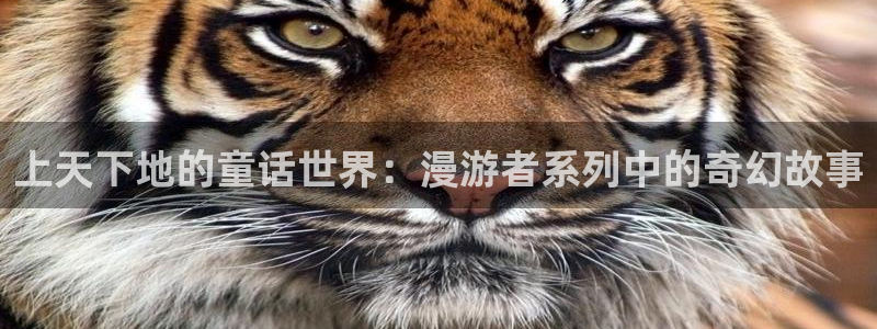 51漫画与岳同屋免费无删减在线观看：上天下地的童话世界：漫游者系列中的奇幻故事