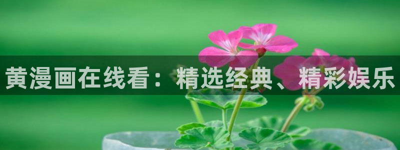 羞羞51漫画网站：黄漫画在线看：精选经典、精彩娱乐