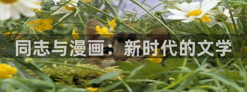 51漫画漫画免：同志与漫画：新时代的文学
