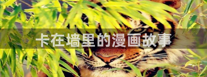 3d51漫画免费观看漫画：卡在墙里的漫画故事