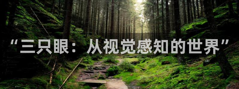 51漫画画下拉式免费：“三只眼：从视觉感知的世界”