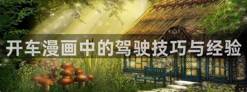 51漫画大全免费网站：开车漫画中的驾驶技巧与经验