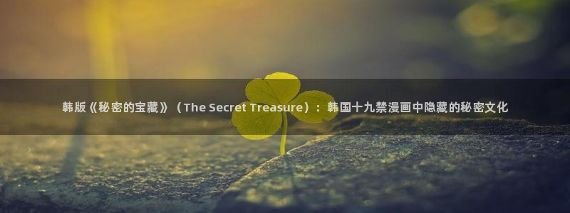 51漫画画大全在线观看免费：韩版《秘密的宝藏》（The Secret Treasure）：韩国十九禁漫画中隐藏的秘密文化