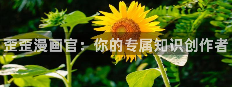 51漫画屋漫画免费漫画下拉式：歪歪漫画官：你的专属知识创作者